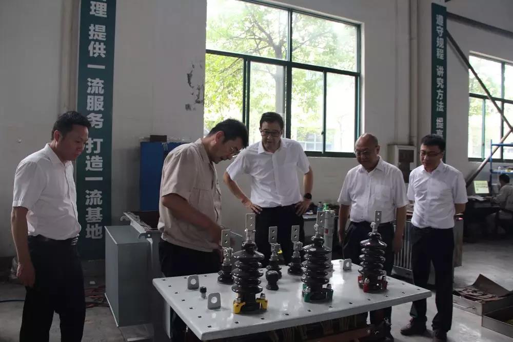 國(guó)網(wǎng)湖北省電力有限公司侯春到紫電公司調(diào)研指導(dǎo)工作